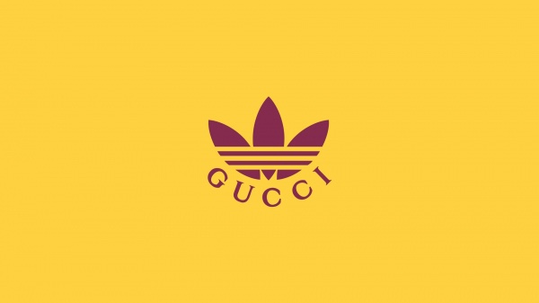  Adidas X Gucci Gazelle 아디다스 X 구찌 가젤