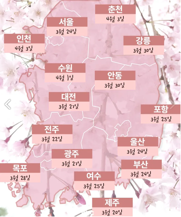  2024 벚꽃 개화시기와 명소 추천