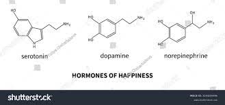 노르에피네프린 (Norepinephrine) 노르에피네프린 (Norepinephrine)