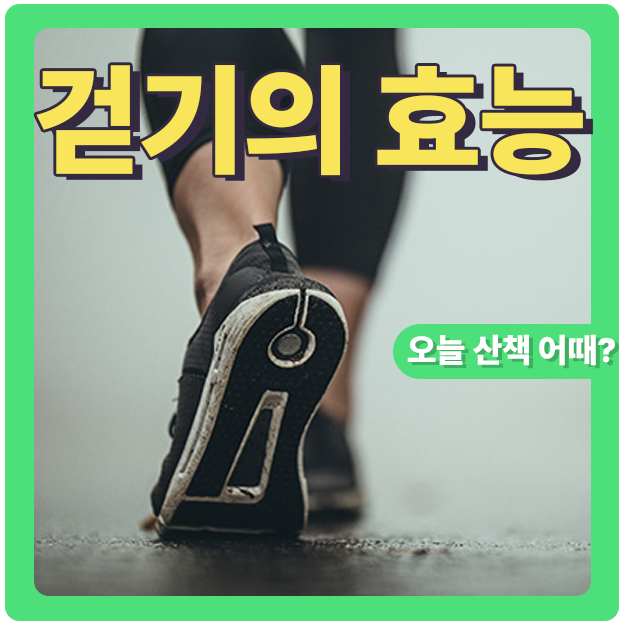  산책 걷기운동 기대이상의 효과