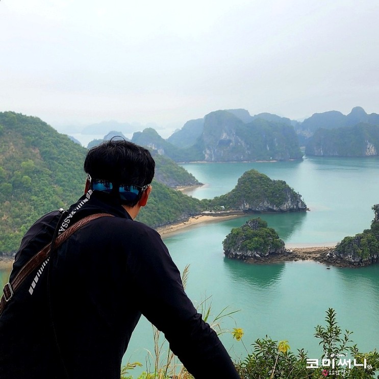 [베트남 캄보디아 패키지여행] 하롱베이 티톱섬 전망대 올라 하롱베이의 절경 감상!