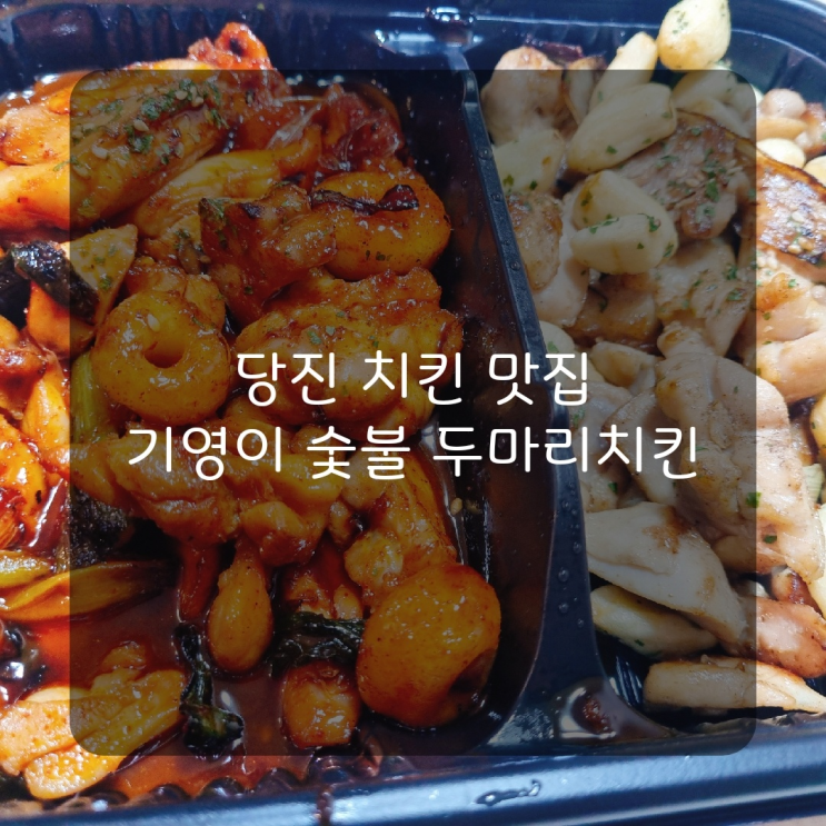  [당진치킨]기영이 숯불 두마리치킨 통마늘소금&양념숯불치킨 내돈내산후기