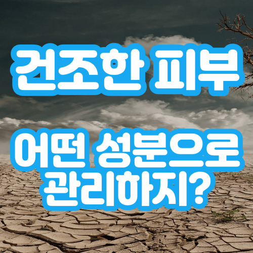  건조한 피부 관리에 도움을 주는 보습 성분들 소개