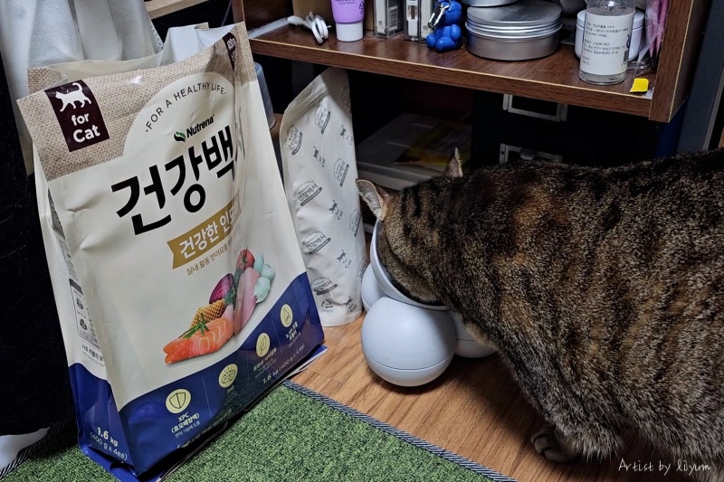 고양이사료 건강백서 신제품 추천, 건강한 7세 면역력 관리