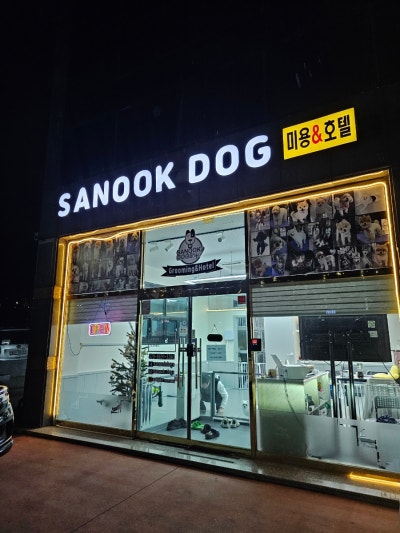 사진 3