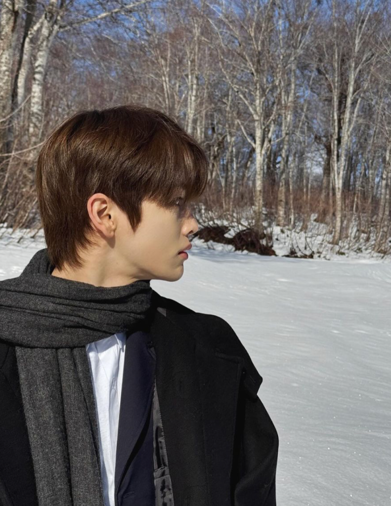 RIIZE Sungchan's Hairstyle: Semi-Leaf Cut, Men's Matte Brown Hair Dye