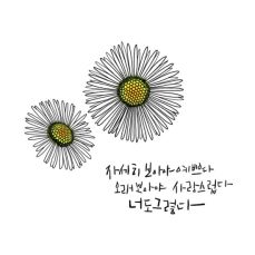  풀꽃(A grass flower)