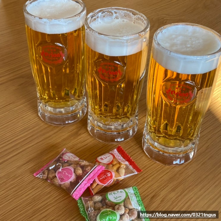  [대마도여행] 채광맛집! 오키나와 생맥주 판매하는 히타카츠 카페- ‘카페 쓰시마’