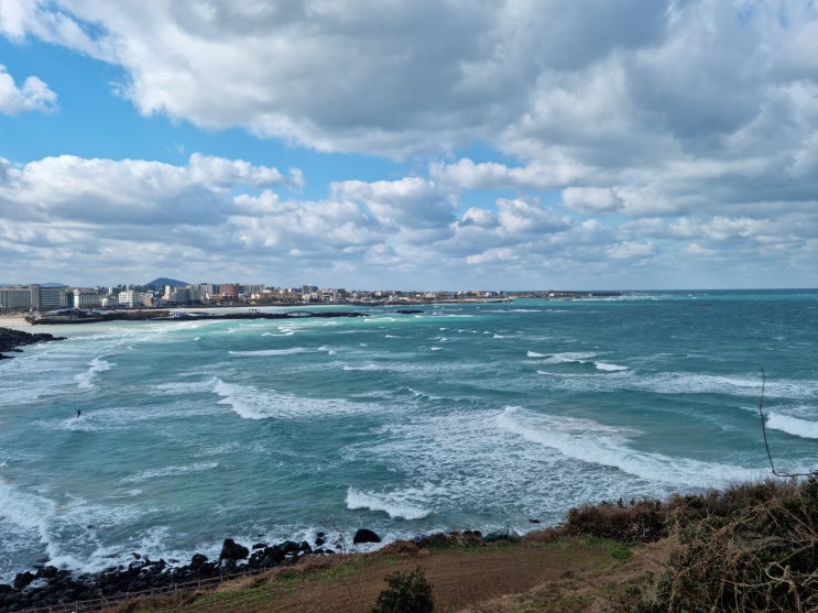  제주도 여행 가볼 만한 곳 (함덕해수욕장/ 반디 파스타/ 보라 지붕/ 요우르/ 새물깍 무지개 도로)