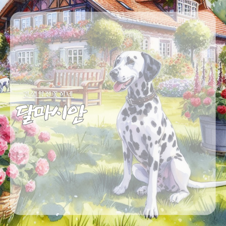  달마시안 분양 가격 품종 성격 특징 강아지키우기 주의점