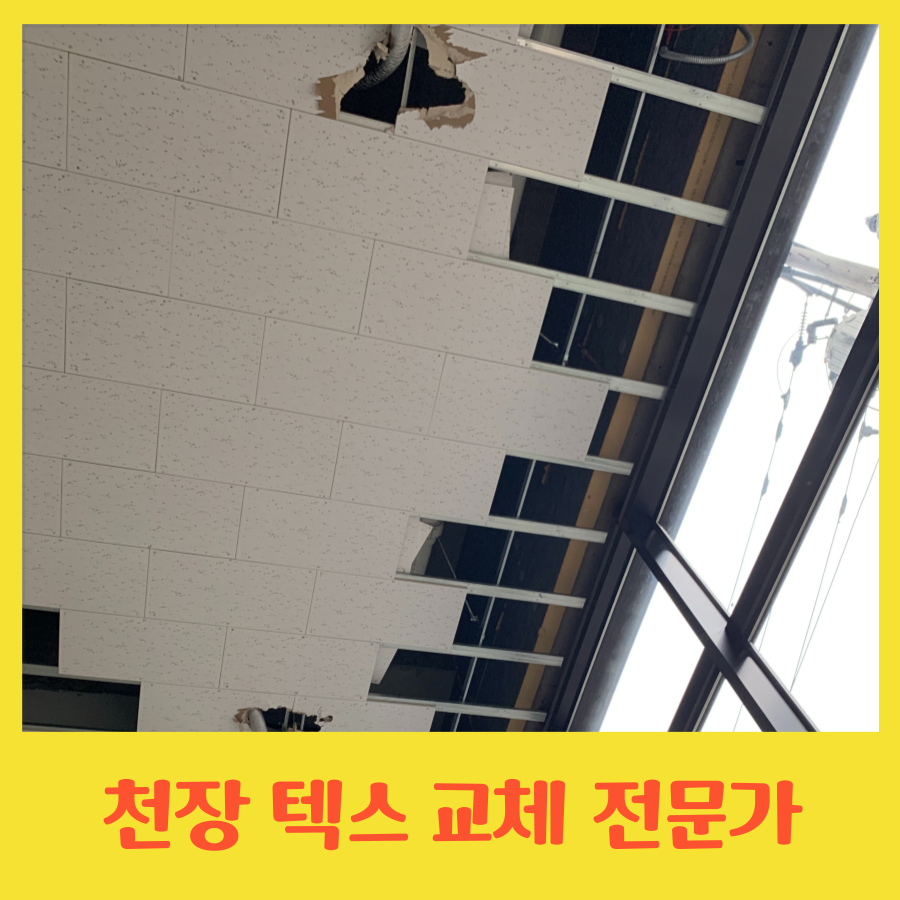 상가 원상복구 높은 천장 텍스 교체 작업 가능한 곳