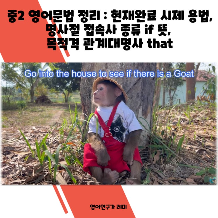 중2 영어문법 정리 : 현재완료 시제 용법, 명사절 접속사 종류 if 뜻, 목적격 관계대명사 that 중2 영어문법 정리 : 현재완료 시제 용법, 명사절 접속사 종류 if 뜻, 목적격 관계대명사 that