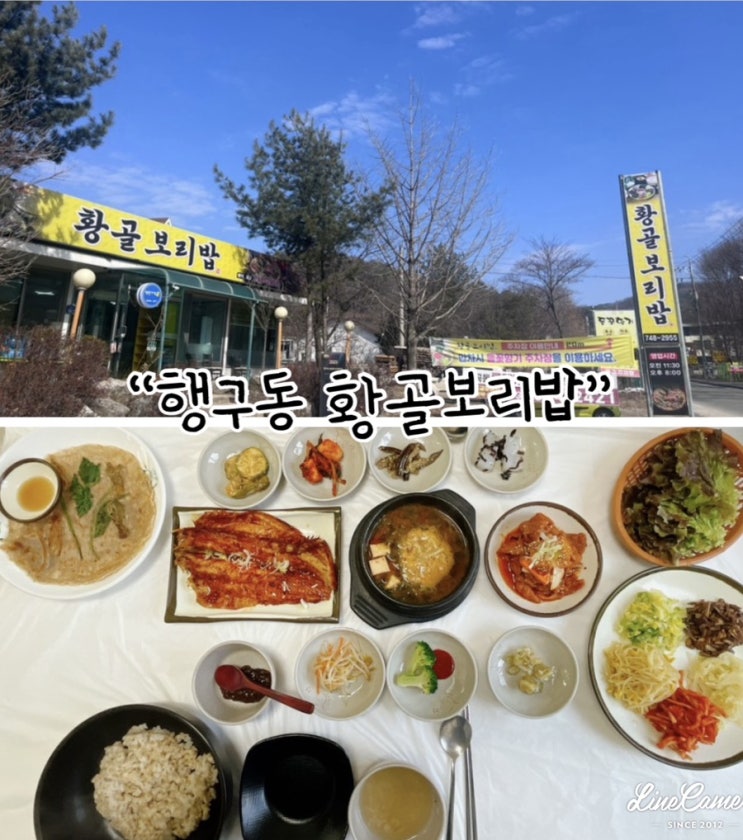  보리밥에 제육볶음, 코다리, 된장찌개까지 나오는 원주 황골 맛집 "행구동 황골보리밥"