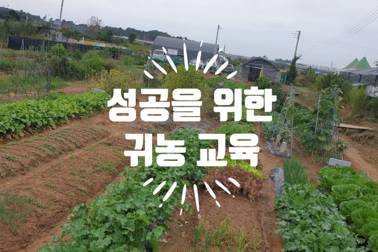  성공적인 귀농 준비 Step ① 귀농 교육, 선택 아닌 필수