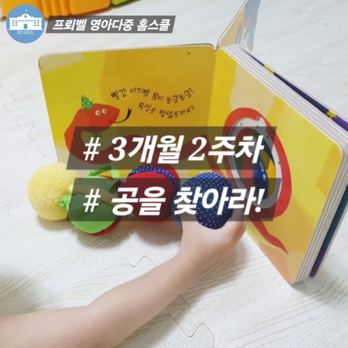  3개월2주차 영다홈스쿨 대상영속성