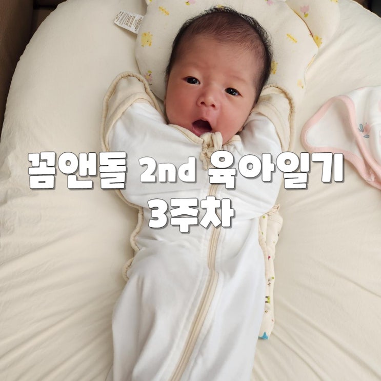 꼼앤돌 주니어 2nd 육아일기 3주차 - 조리원퇴소 & 완전체 4인가족 일상 시작!