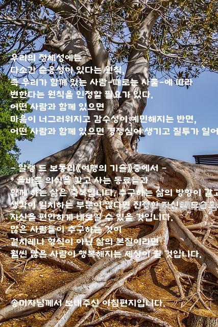 별 하나,.......우리 별 하나,.......우리