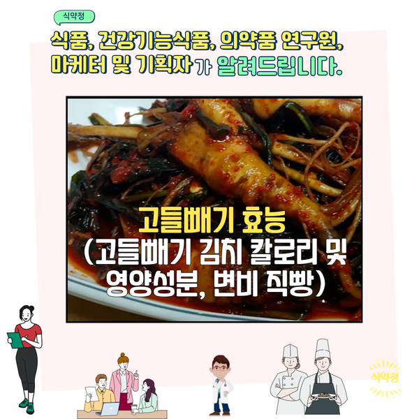 고들빼기 효능 (고들빼기 김치 칼로리 및 영양성분, 변비 직빵) PART2