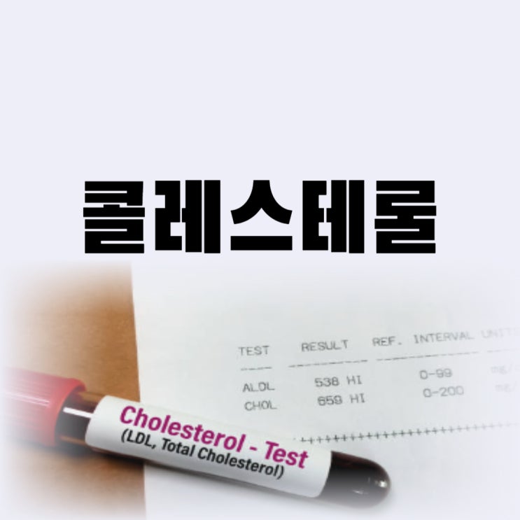  콜레스테롤 수치 낮추는 음식 총 콜레스테롤 낮추는 방법(LDL, 저밀도)