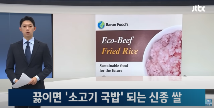 친환경 소고기쌀(Eco-Beef Fried Rice)의 등장