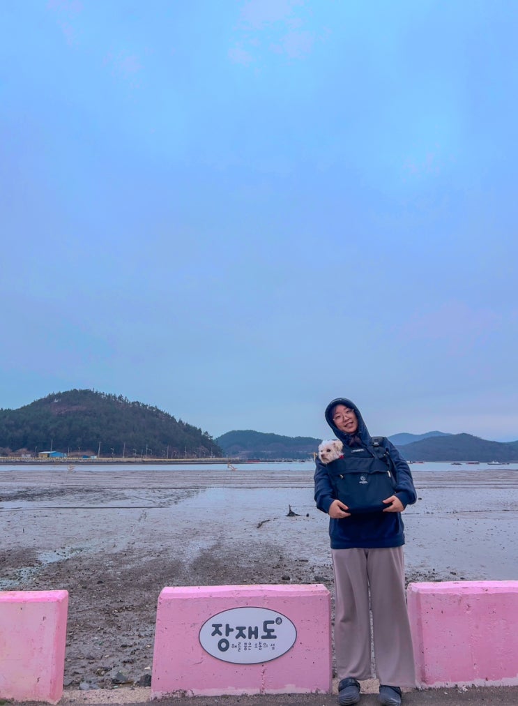  장흥 장재도 가기전 들러본 사촌마을, 포토존 흔들의자도 있음