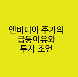 엔비디아 주가의 급등이유와 투자 조언