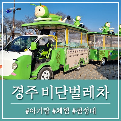 경주 비단벌레차 예약 주차장 코스 요금 매표소 체험 아이랑 아기랑 가볼만한곳 첨성대