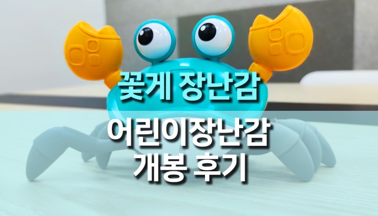 아기 장난감 추천, 기어다니는 꽃게 장난감 사용 후기 아기 장난감 추천, 기어다니는 꽃게 장난감 사용 후기