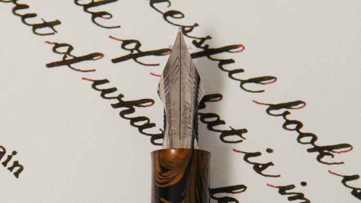  What makes a successful book? (Mark Twain, Copperplate script, FPR no.6 Ultraflex nib)