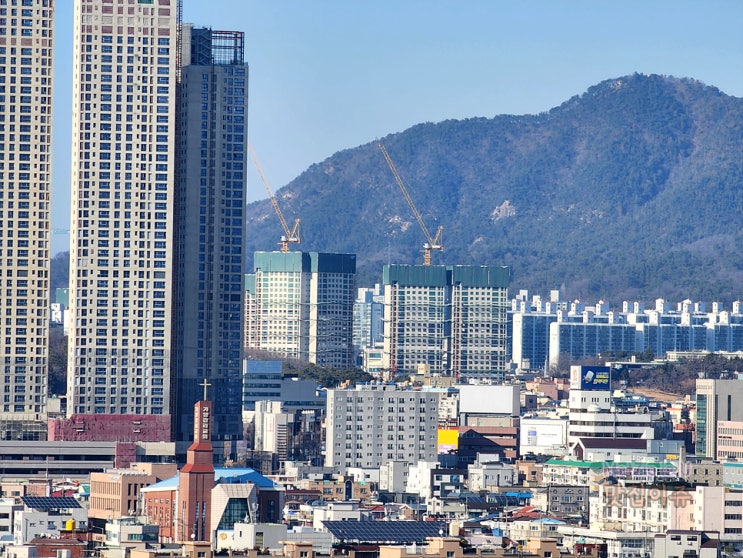  2월 대전 일상 / 우송대 우송타워, 스타벅스 대전터미널 DT점, 둔산동 충만치킨, 새로댁 새로 팝업스토어, 이순신소국밥 타임울뚤목점, 도룡동 카리코, 문지동 지호카레, 한남대