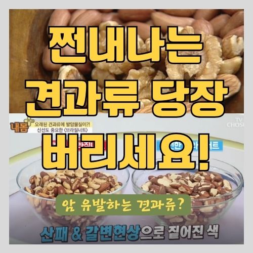  다이어트에 좋은 견과류 추천과 보관법 (투데이넛 너트한줌)