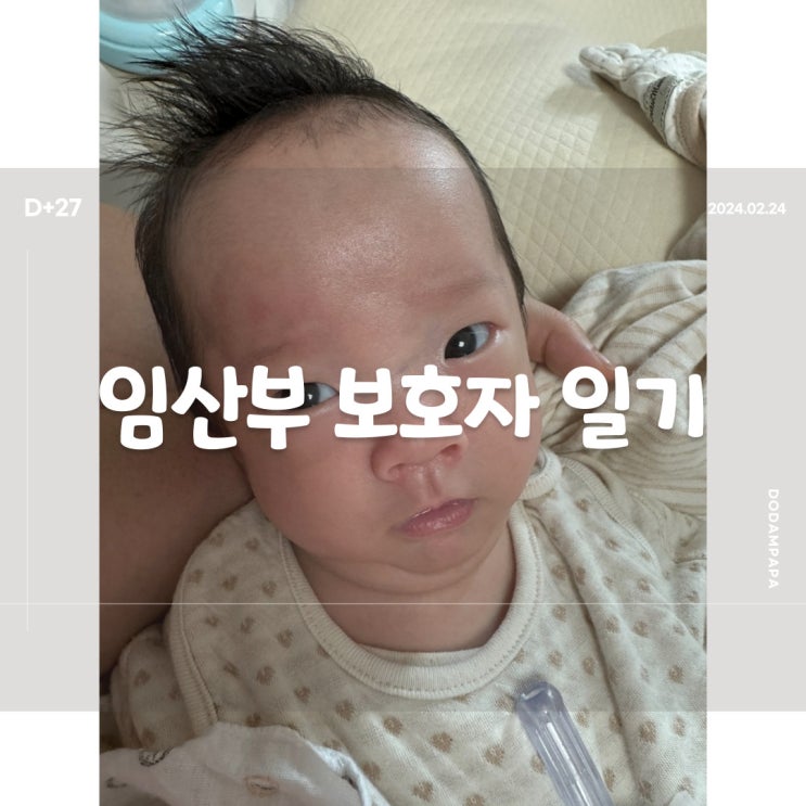 2024.02.24 임산부 보호자 일기 D+27일 2024.02.24 임산부 보호자 일기 D+27일