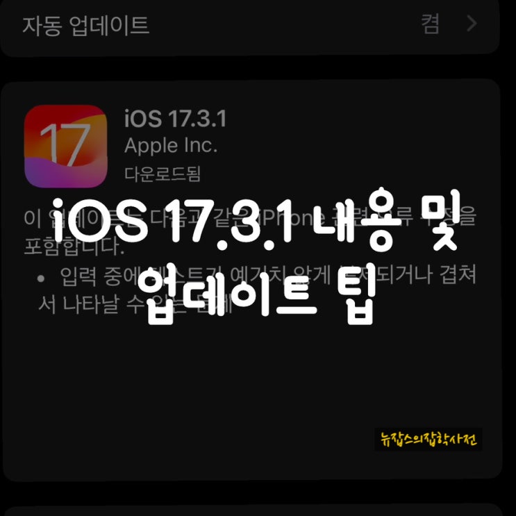  iOS 17.3.1 & 업데이트 팁