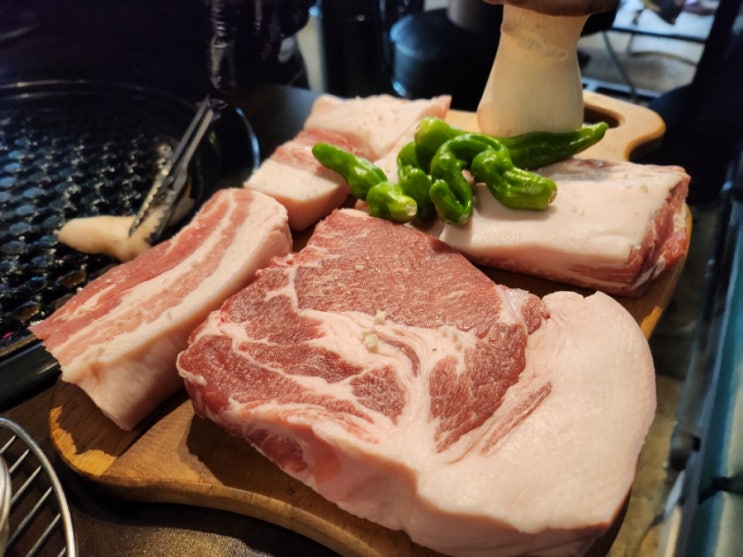  댕이랑 행복한 점심1