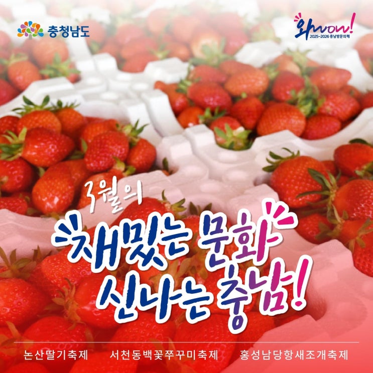 충남 가볼만한곳 3월의 재밌는 문화 신나는 충남 | 충남도청페이스북