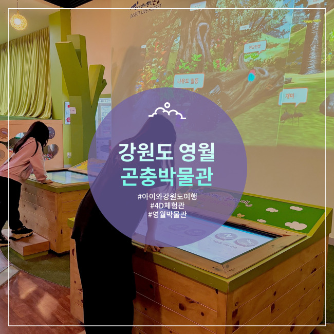  [영월] 강원도 실내외 놀이터에서 놀기 좋은 곤충박물관 유아숲체험원