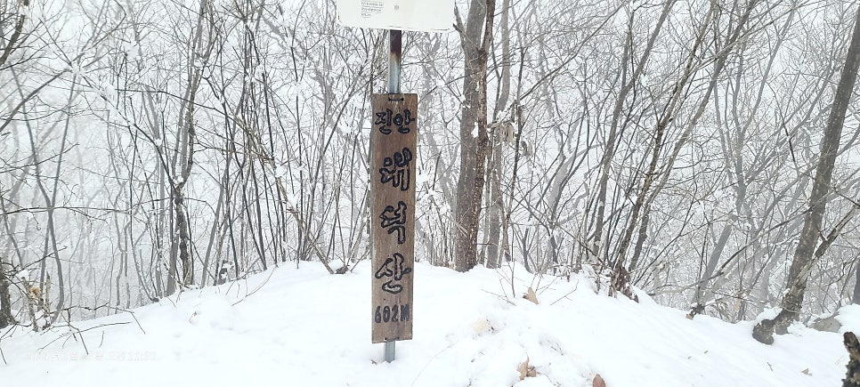 수전터산 사진 5