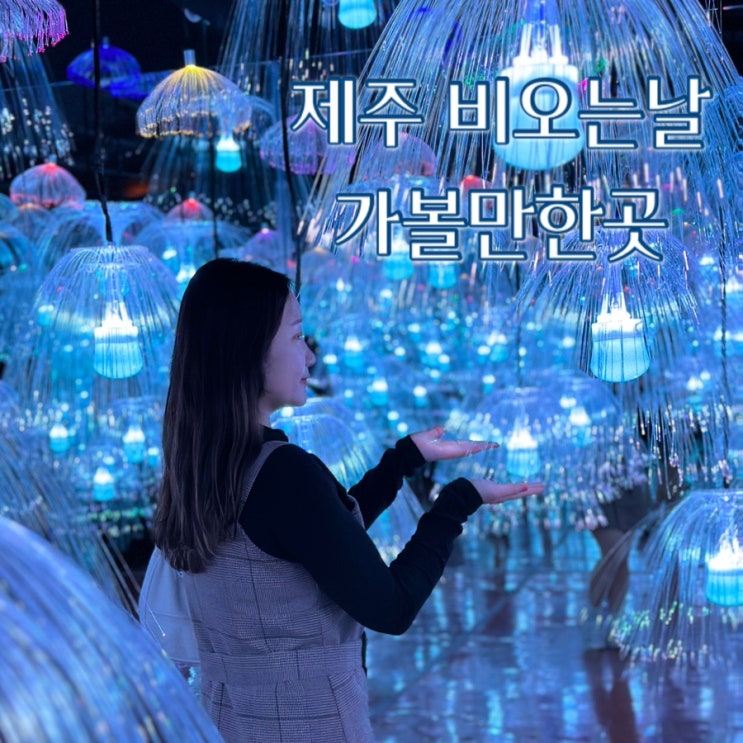  제주 애월 가볼만한곳 비오는날 제주홀릭뮤지엄 저렴한 예매방법 꿀팁