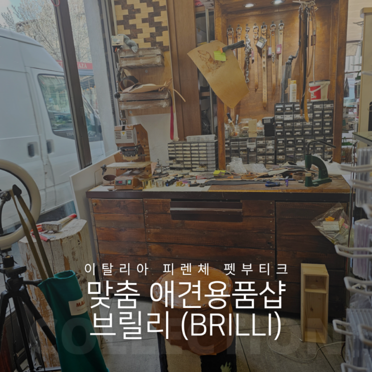  이탈리아 피렌체 애견용품 전문점 브릴리(Brilli Pet Boutique)