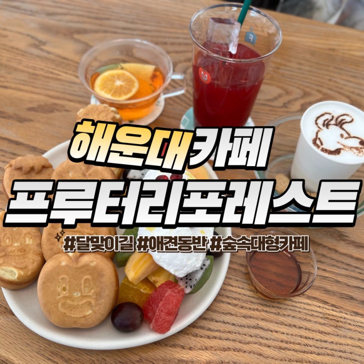  송정 프루터리포레스트 :: 해운대 애견동반카페에서 멍푸치노 한잔