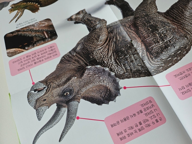 블로그 후기 사진