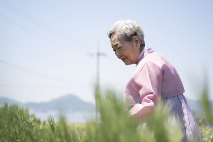 연명의료 판단 불가 환자, 가족 없으면 죽을 수 없어(下)