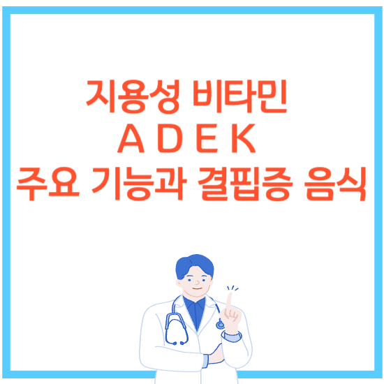 지용성 비타민 A D E K 주요 기능과 결핍증 음식