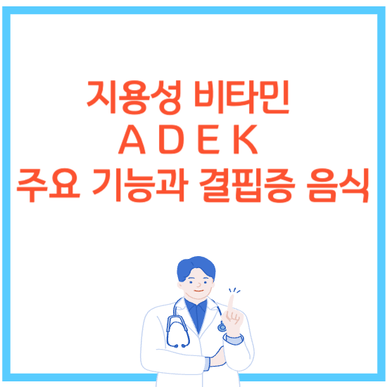  지용성 비타민 A D E K 주요 기능과 결핍증 음식