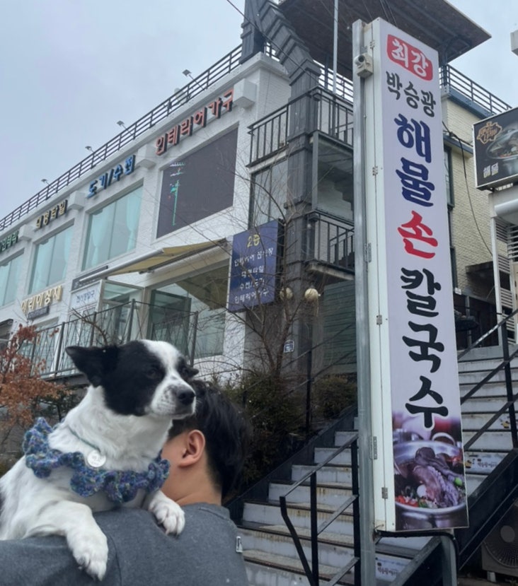  (경기/양평) 애견동반식당 점심맛집 칼국수맛집 가족여행식당 [박승광해물손칼국수]
