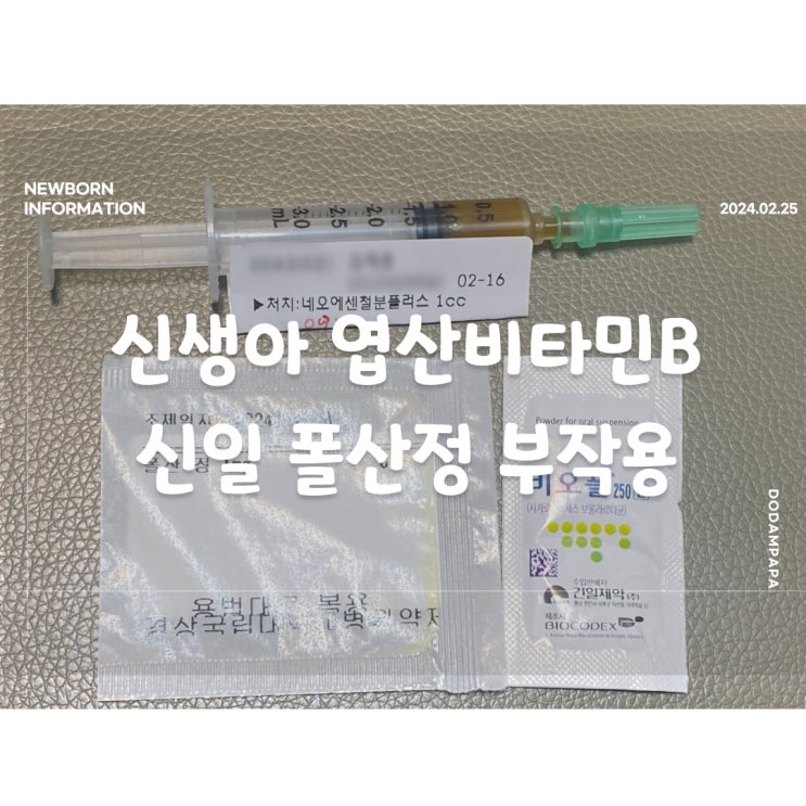 신생아 엽산 비타민 B 신일폴산정 정보보 및 부작용 신생아 엽산 비타민 B 신일폴산정 정보보 및 부작용