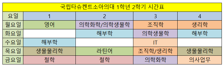  [메가메디] 국립타슈켄트소아의대 1학년 2학기 강의계획표
