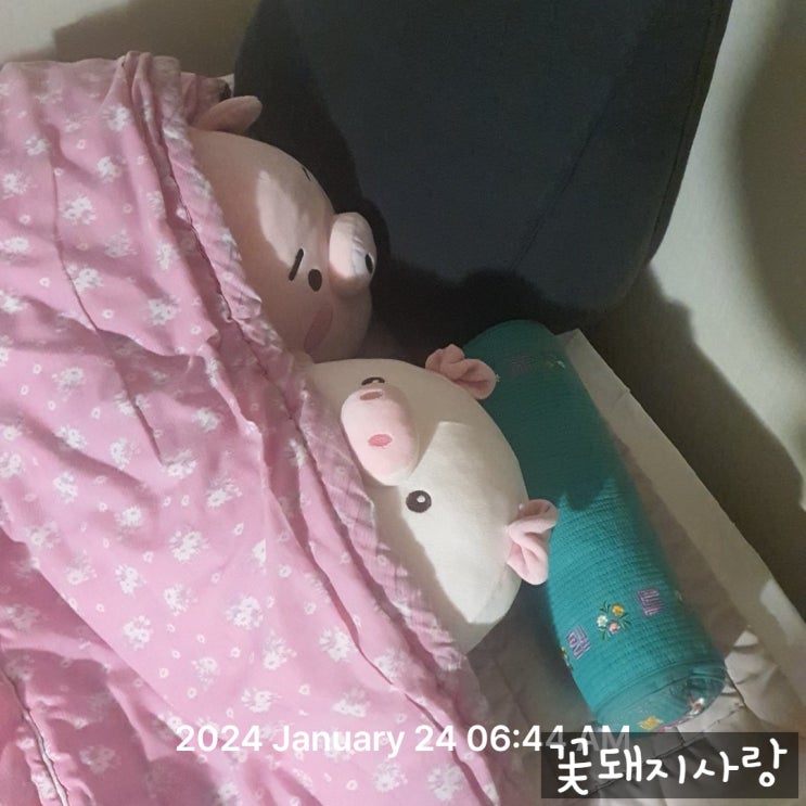  2024년 1월 사진 일기