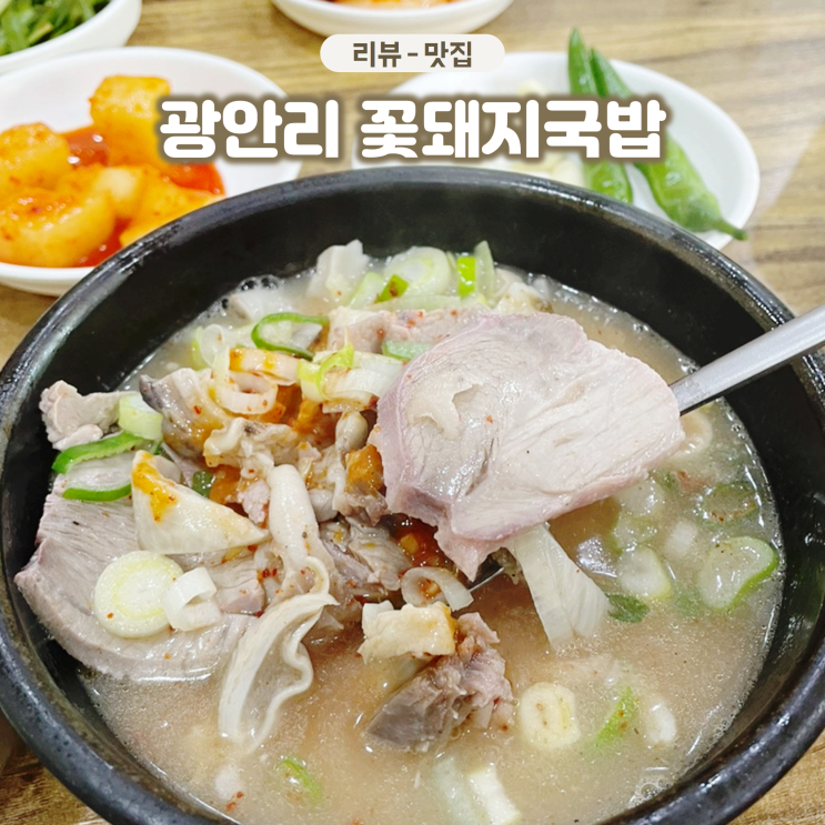  부산 현지인 맛집 꽃돼지국밥 광안리에서 만난 인생국밥집