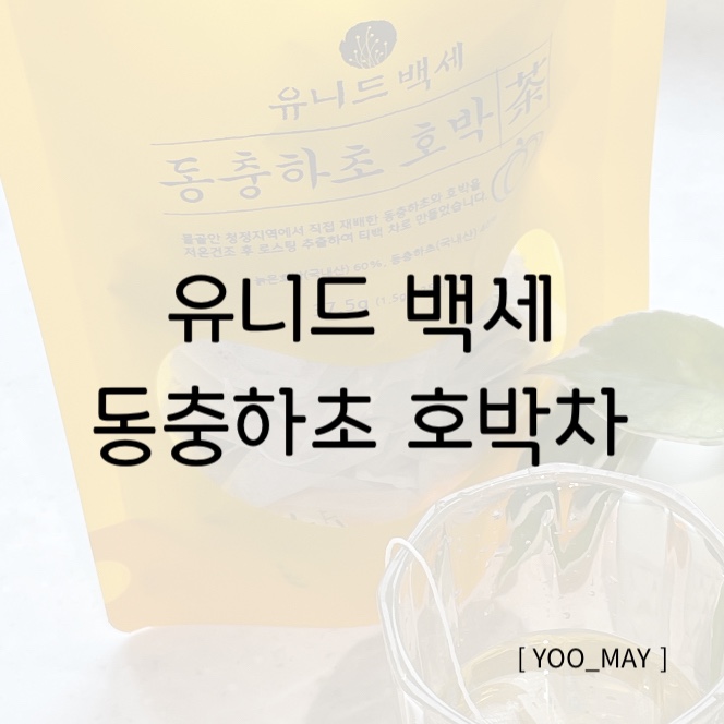  동충하초 호박차 건강하게 마실 수 있는 티백, 유니드백세